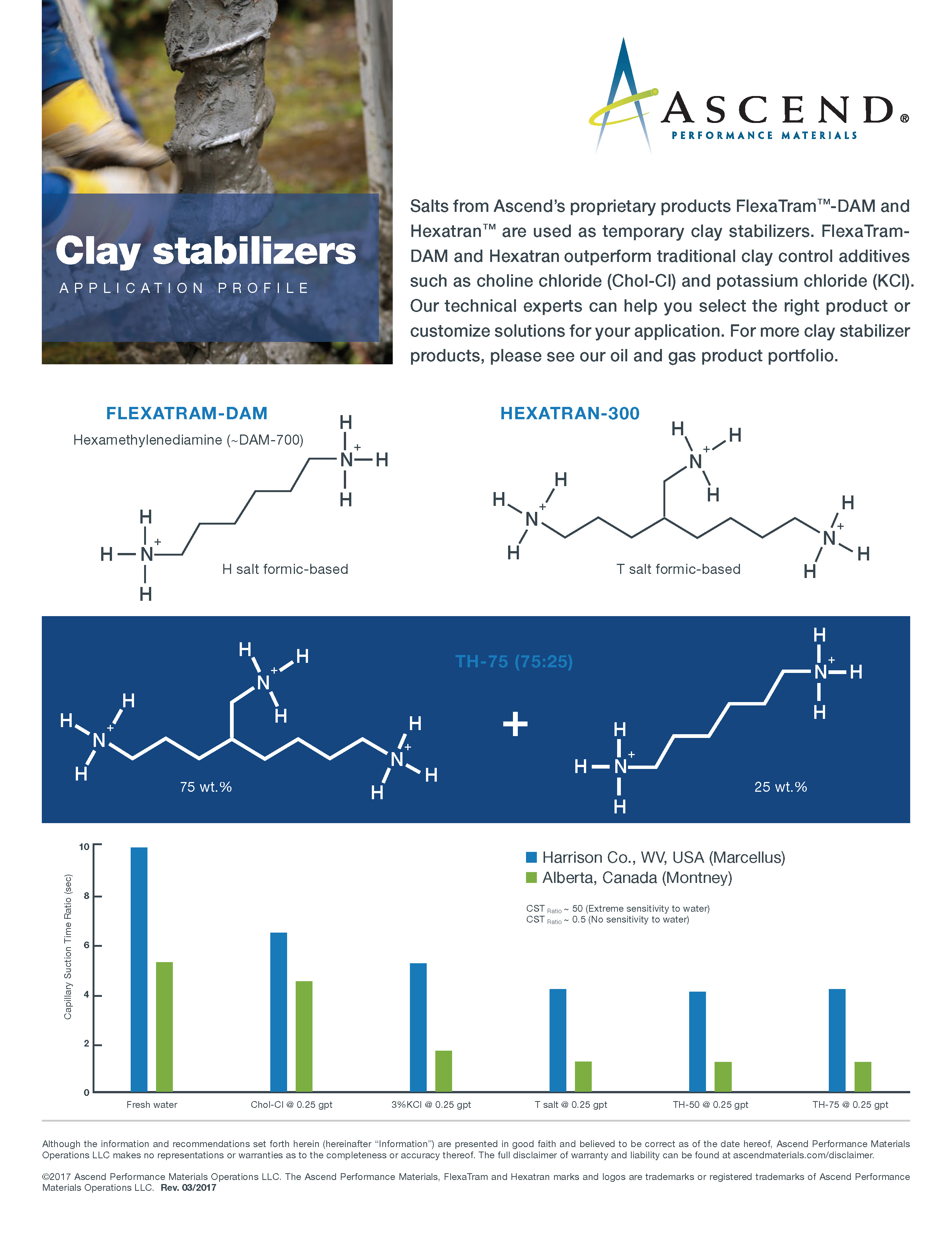 Specialty chemicals application: clay stabilizers