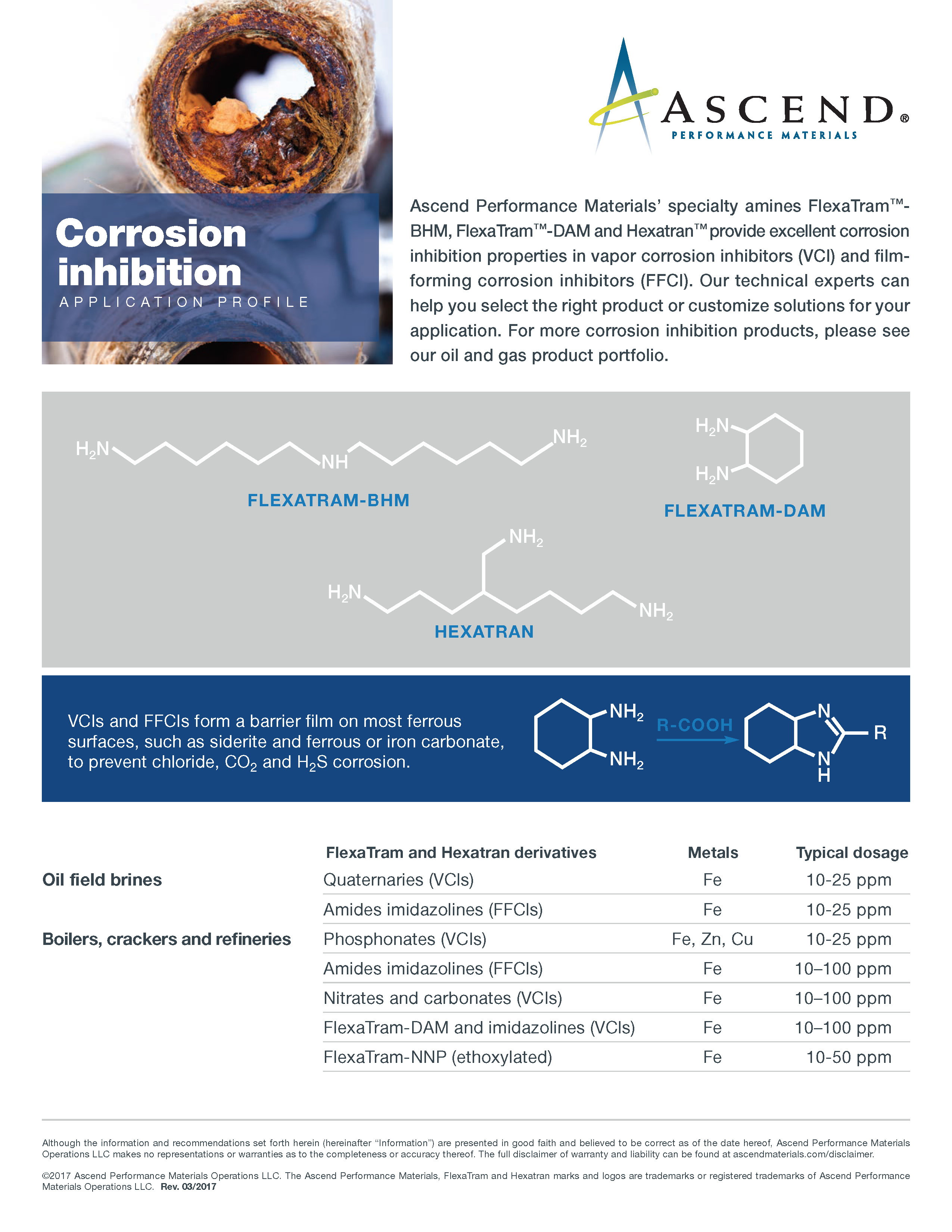 Specialty chemicals application: corrosion inhibition