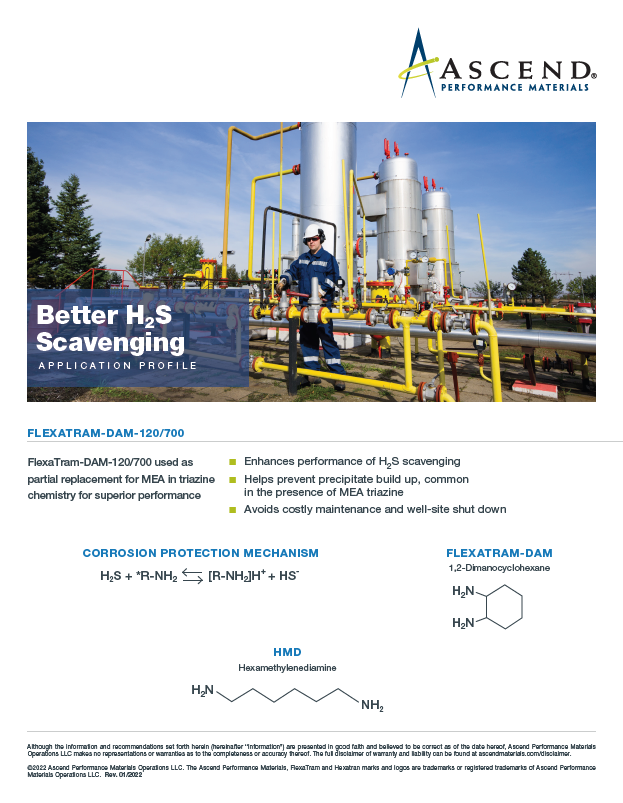 Specialty chemicals application: H2S scavenging